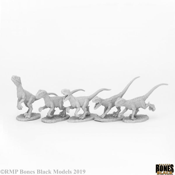 Bones Black - Raptor Hunting Pack (5)