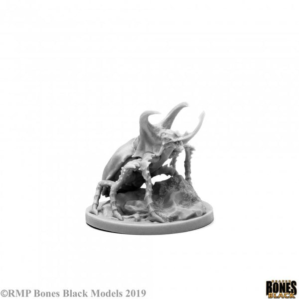 Bones Black - Giant Rhino Beetle