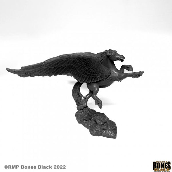 Bones Black - Pegasus