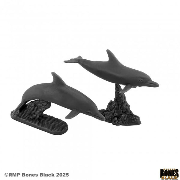 Bones Black - Dolphins (2)
