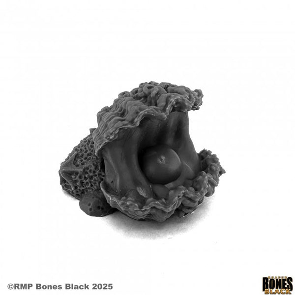 Bones Black - Giant Clam