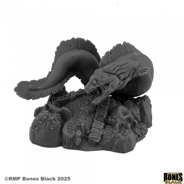 Bones Black - Giant Moray Eel