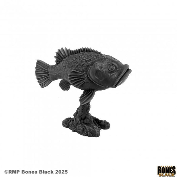 Bones Black - Dire Grouper