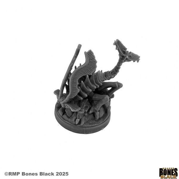 Bones Black - Oxidation Beast