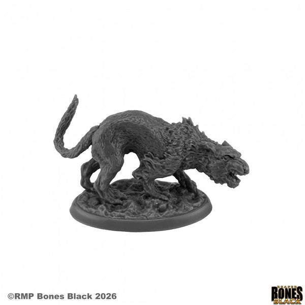 Bones Black - Elven Cat