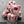 DNDDice - 7 Dice Set