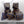 DNDDice - 7 Dice Set