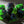 Easy Roller Dice - Sharp Edge 7 Piece Dice Set