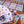 Gasha Card Game for 2-6 Players, Ages 7+