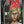 Final Girl