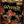 Red Dragon Inn