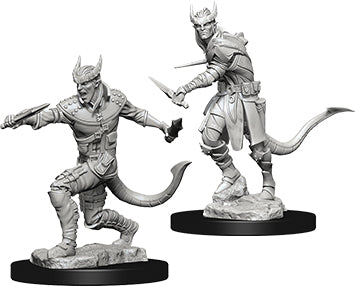Dungeons & Dragons Nolzur`s Marvelous Unpainted Miniatures: W05 Tiefling Male Rogue