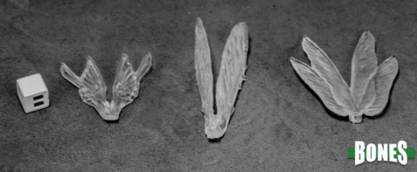 Transparent Wings (3)