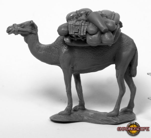 Camel w/ Pack